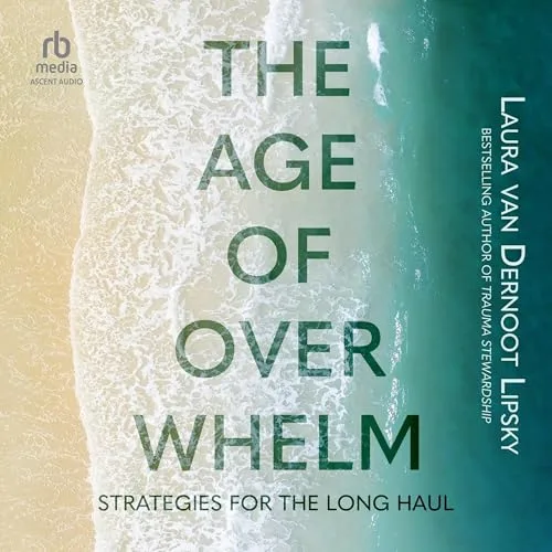 The Age of Overwhelm By Laura van Dernoot Lipsky